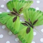 Papillons Décoratifs Verts (set de 2)